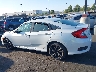 19XFC2F83LE****** Salvage 2020 Honda Civic