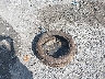 3KPF24AD0KE****** Wrecked 2019 Kia Forte in Virginia State