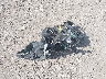 2T2ZK1BA4FC****** Wrecked 2015 Lexus RX 350 in Texas State