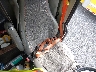 4V4NC9EH2LN****** Used and Repairable 2020 Volvo VNL in Specialty Division