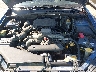 4S4BP66C597****** Repairable 2009 Subaru Outback in East Bay