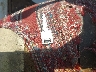 1GCBS14AXD2****** Salvage 1983 Chevrolet S-10 in Colorado State