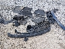 1HGCY1F33RA****** Wrecked 2024 Honda Accord in Mississippi State