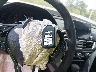 1HGCV1F17JA****** Salvamento 2018 Honda Accord en Estado de Luisiana