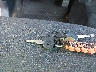 1GCEC14W7XE****** Salvage 1999 Chevrolet Silverado 1500 in Virginia State