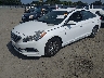 5NPE24AF7GH****** Used and Repairable 2016 Hyundai Sonata in Little Rock