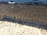 1N4AZ1BV6PC****** Salvage and Wrecked 2023 Nissan Leaf in Tucson