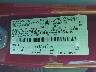 1FMCU0H63NU****** Usados 2022 Ford Escape en Phoenix