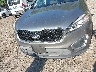 5XYPGDA31GG****** Destrozados 2016 Kia Sorento en Estado de Massachusetts