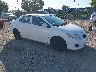 2T1BU4EE5AC****** Salvamento y Destrozados 2010 Toyota Corolla en Philadelphia