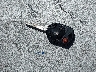 1FMCU0F75GU****** Salvamento 2016 Ford Escape en Estado de Texas