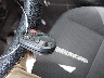1FADP3K23DL****** Salvage 2013 Ford Focus in Texas State