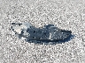 2C3CDXBG1NH****** Wrecked 2022 Dodge Charger in Nebraska State