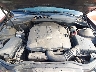 2G1FB1EVXA9****** Reparables 2010 Chevrolet Camaro en Tifton