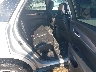 1GYKNERS1JZ****** Wrecked 2018 Cadillac XT5 in Grenada