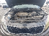 5XXGM4A77DG****** Reparables 2013 Kia Optima en Lexington