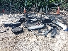 3N8AP6CB1TL****** Wrecked 2026 Nissan Kicks in Maryland State