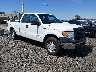 1FTFX1CT5DK****** Salvage and Wrecked 2013 Ford F-150 in Avenel New Jersey