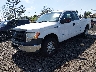 1FTFX1CT5DK****** Used and Repairable 2013 Ford F-150 in Avenel New Jersey