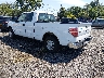 1FTFX1CT5DK****** Salvage and Repairable 2013 Ford F-150 in Avenel New Jersey
