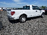 1FTFX1CT5DK****** Salvage and Wrecked 2013 Ford F-150 in New Jersey State