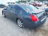 1N4BA41E18C****** Salvage and Repairable 2008 Nissan Maxima in Oklahoma City