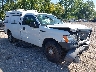 1FTMF1CM3BK****** Salvamento y Destrozados 2011 Ford F-150 en Indianapolis