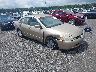 1HGCM56425A****** Salvage and Wrecked 2005 Honda Accord in Elkton