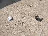 4XAMH57A4EA****** Wrecked 2014 Polaris Sportsman in Ohio State
