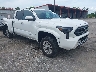 3TYLB5JN6RT****** Salvamento y Destrozados 2024 Toyota Tacoma en West Palm Beach
