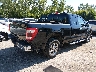 1FTFX1E88MF****** Salvage and Wrecked 2021 Ford F-150 in Ohio State