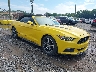1FATP8UHXH5****** Salvage and Wrecked 2017 Ford Mustang in Asheville
