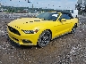 1FATP8UHXH5****** Used and Repairable 2017 Ford Mustang in Asheville