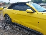1FATP8UHXH5****** Salvage and Repairable 2017 Ford Mustang in North Carolina State