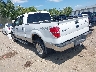 1FTFW1E88AF****** Salvamento y Reparables 2010 Ford F-150 en Indianapolis