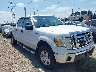 1FTFW1E88AF****** Salvamento y Reparables 2010 Ford F-150 en Estado de Indiana