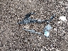 ZACCJBCT6GP****** Wrecked 2016 Jeep Renegade in Ohio State