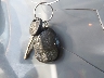 5GAEV23778J****** Salvage 2008 Buick Enclave in Florida State