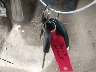 2G4WC582491****** Salvage 2009 Buick LaCrosse in Virginia State