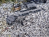 5TDYK3DC2BS****** Wrecked 2011 Toyota Sienna in West Virginia State