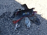 5Y2SL65886Z****** Wrecked 2006 Pontiac Vibe in Maine State