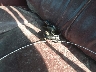 1GKEK13R1VJ****** Salvamento 1997 GMC Yukon en Estado de Carolina del Norte