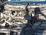 KNMAT2MV6GP****** Repairable 2016 Nissan Rogue in Taunton