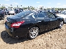 1N4AA51E19C****** Salvamento y Destrozados 2009 Nissan Maxima en Estado de Ohio