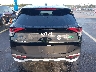 5XYK33AF0PG****** Wrecked 2023 Kia Sportage