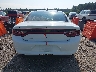 2C3CDXATXPH****** Destrozados 2023 Dodge Charger