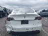 7SAYGDEE8PF****** Salvage 2023 Tesla Model Y