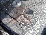 JHMGE88449S****** Repairable 2009 Honda Fit in Oklahoma State