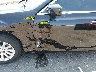 2C3CCAAG6EH****** Used and Repairable 2014 Chrysler 300 in Jackson