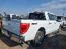 1FTFW1E59MF****** Salvamento y Destrozados 2021 Ford F-150 en Estado de Texas